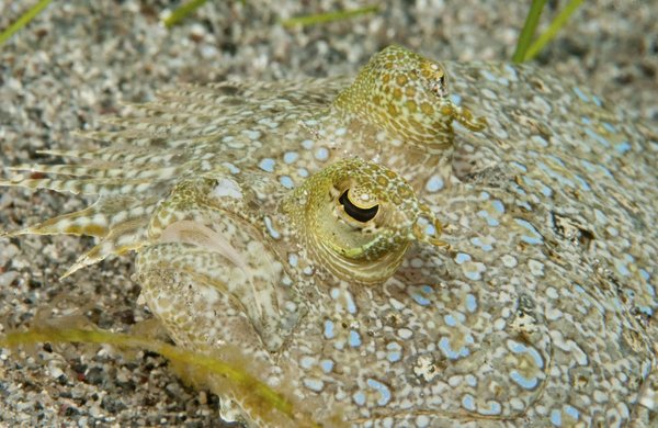Discover Lake District Retreats with Guided Nature Walks: Your Perfect Holiday Rental Awaits!